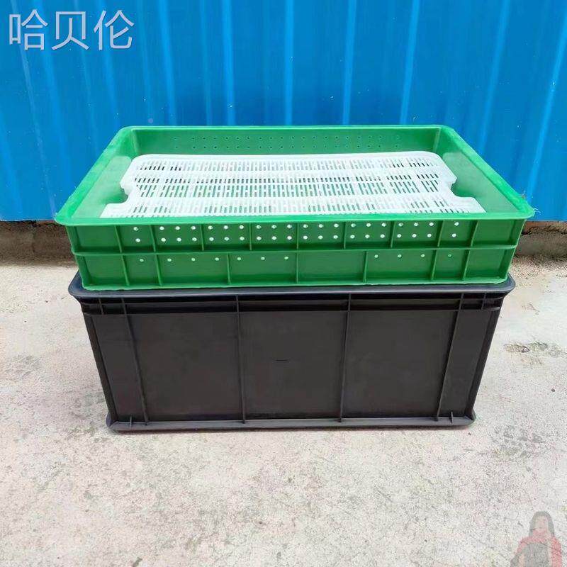 营养钵苗黑色料FIM生穴盘盘花生芽培育蔬菜撒播种植长箱塑水点播