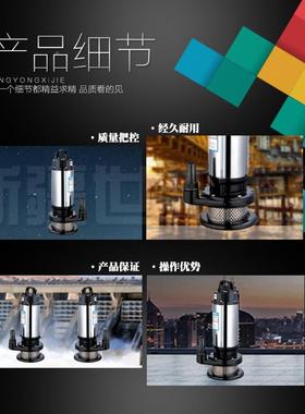 A型2不锈钢污水灌泵家用自动抽水泵农用溉型IGS不锈钢潜水小泵20V