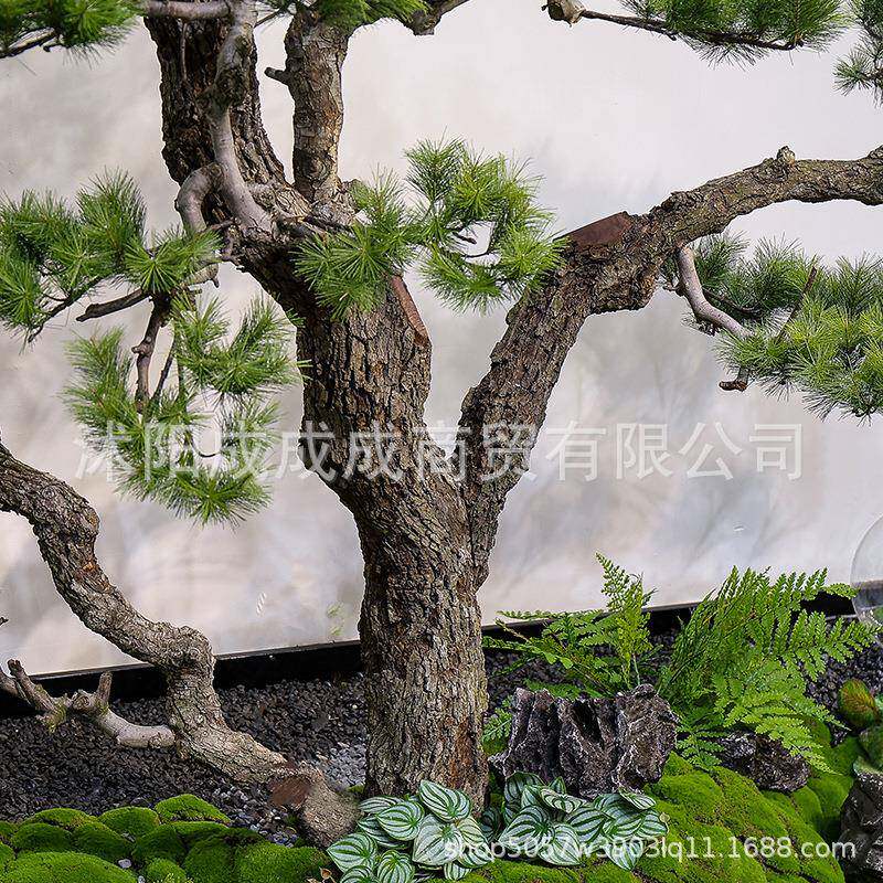 精品仿真客松新中式室内造装景RPC绿植观橱迎窗楼梯下景饰假树罗