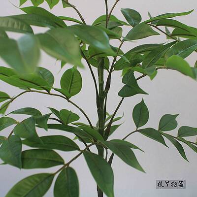 高端仿真绿色植物物漆木室内商场店铺酒店橱窗客厅大型落地装饰盆