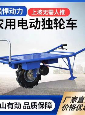 电动鸡公车板UDD运输货小平推工地瓷砖搬运老虎车车小型充电拉手