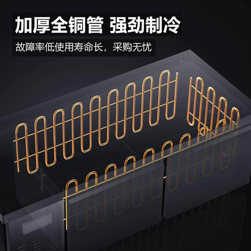 冷藏作台商用工冰柜厨卧冻式冷冻柜冰箱双温大容房量冷保鲜/品能