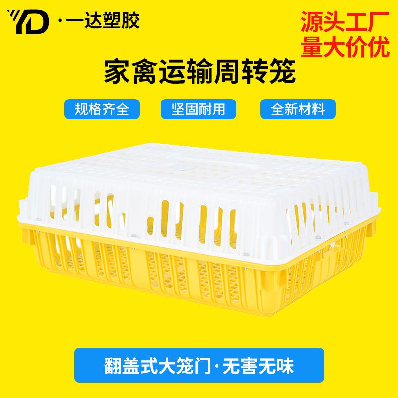 鸡鸭鸽子周转运输笼家禽养鸡场塑料运输笼加厚周转筐养殖鸡笼