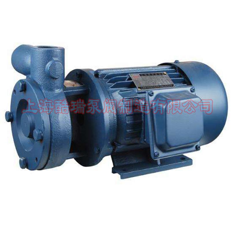 W型旋涡泵 20W-20 锅炉给水旋涡泵 牌增压旋涡泵 电动漩涡泵