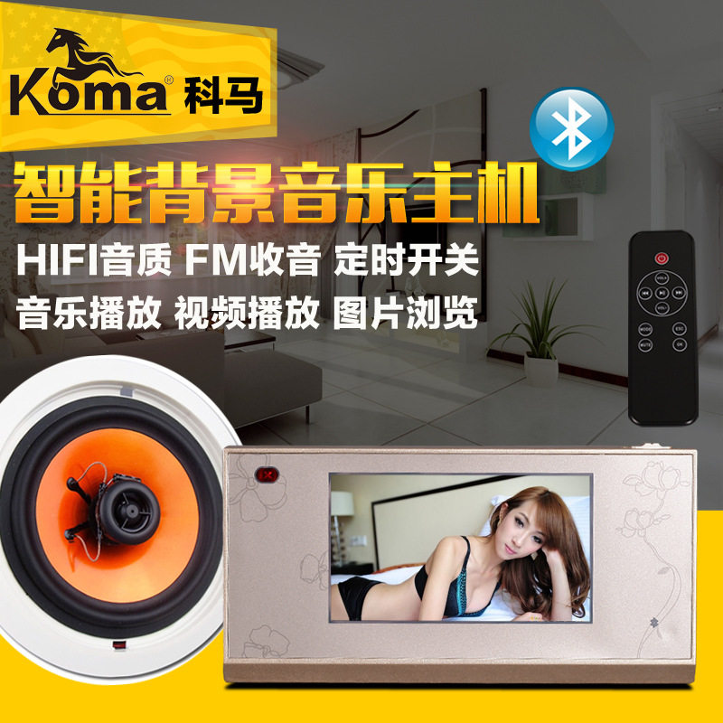 威伯尔 家庭背景音乐主机系统套装内置蓝牙功放控制智能家居音响