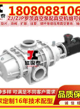 泰州抽真空JJBV型罗茨水环真KASZ空泵机罗茨真泵空泵真空设组备