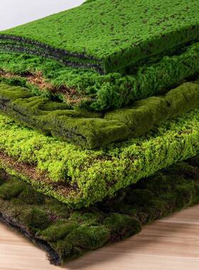 仿真青坪苔藓草造绿植物人墙造微景观盆景假草皮77452假苔景藓装