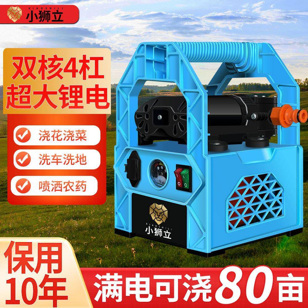 充电式抽水泵小型大功率浇水浇菜神器农用浇地便携锂电灌溉抽水机