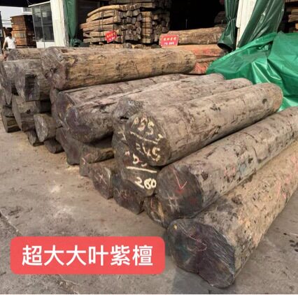 马达加斯加大叶紫檀 大叶紫檀原木 大叶紫檀金星料 高档家具料