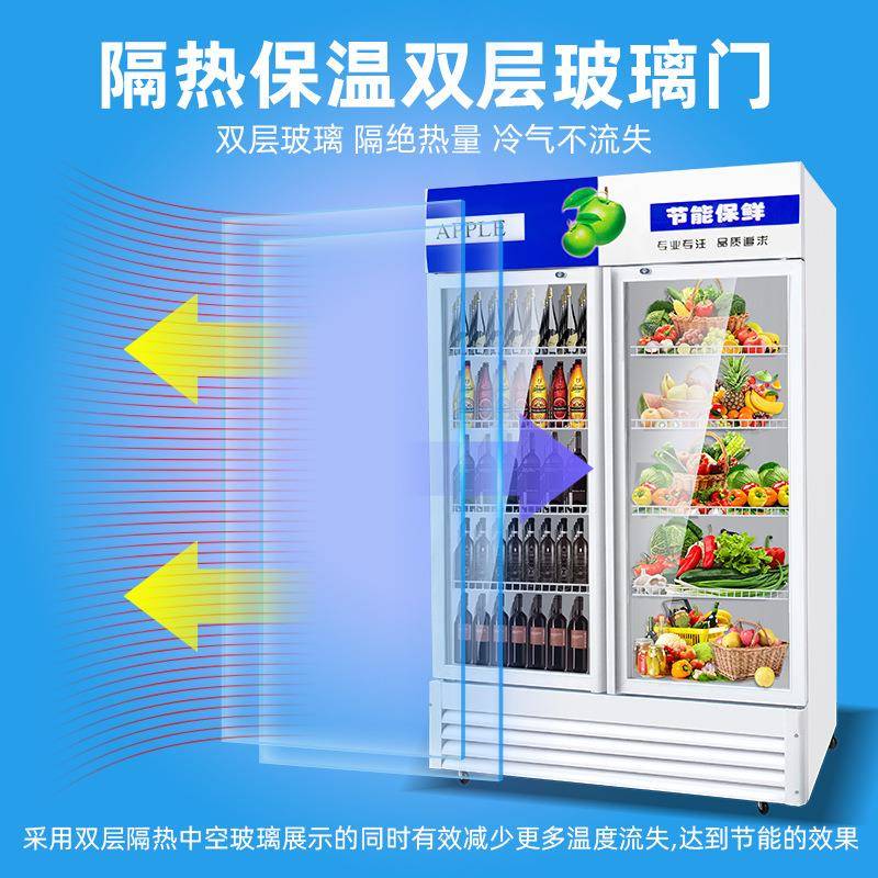 冷藏柜保鲜柜展示柜立式饮料柜商用双门家用冰柜商用冷柜水柜