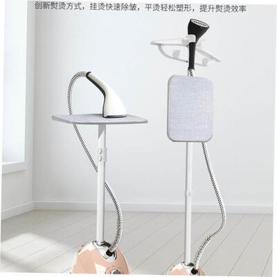 electric compact iron steam soleplate clothes steamer 电熨斗