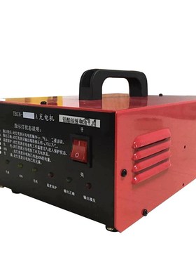 电动叉车智能充电器充电机12V24V48V10A15A18A20A30A40A50A60ATBC