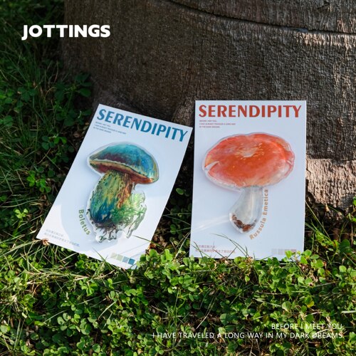 拾杂原创「意外之喜」蘑菇亚克力冰箱贴艺术磁力贴创意风家居礼物