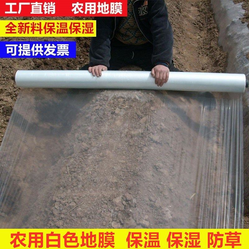 果园农膜玉米地育苗塑料米地模地膜种植保护膜种宽