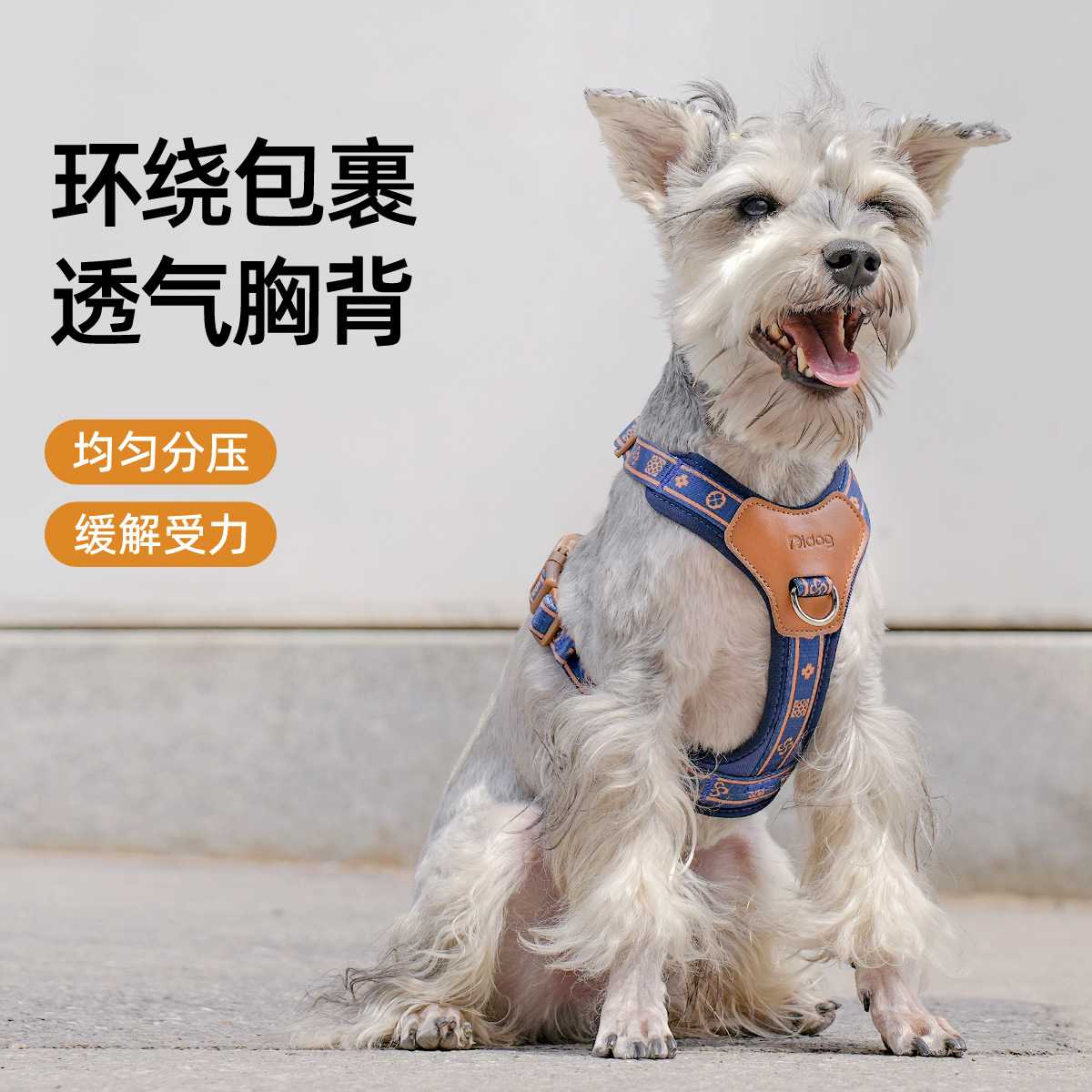 小狗狗宠物胸背带牵引绳遛狗绳子宠物用品狗链背心式外出狗链