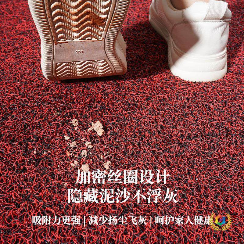 ?家用入户防滑脚垫进门地毯PVC钉底加厚丝圈商用超市汽车门口地