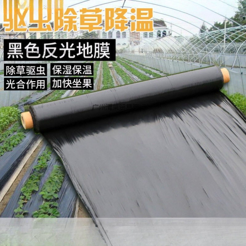 种菜地膜农用种植加厚抗老化黑地膜塑料薄膜除保温保湿防
