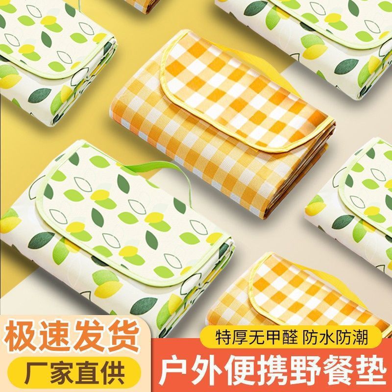 野餐垫防潮垫加厚户外出游便携地垫布地春游露营