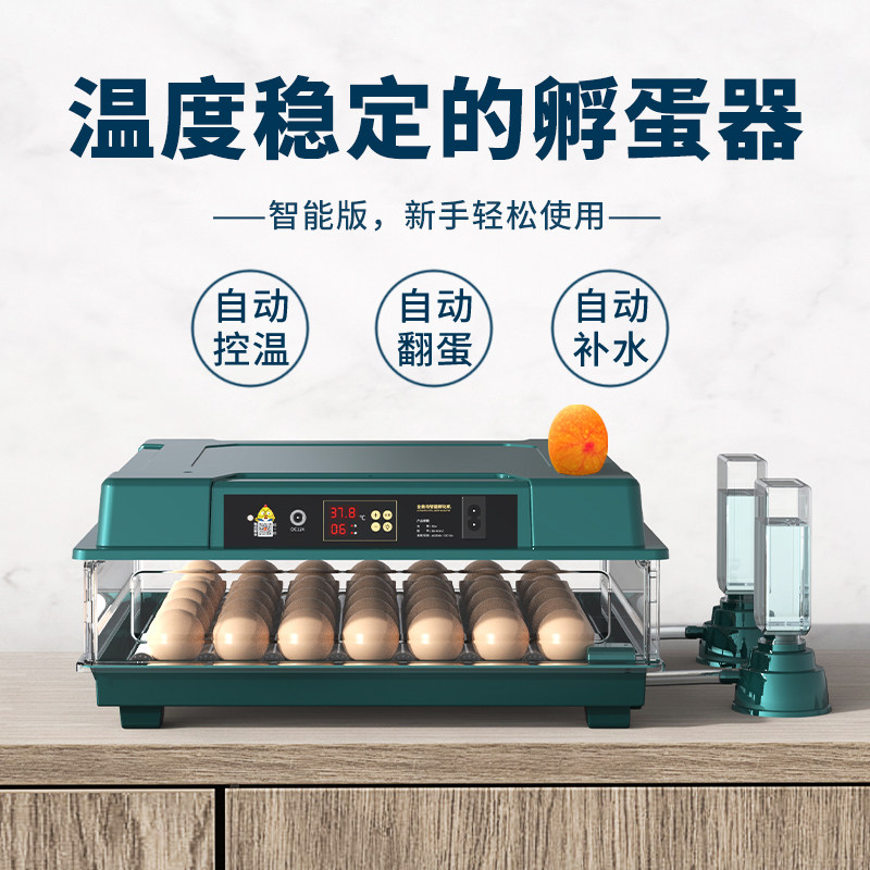 孵化器小型全自动孵化机家用型智能孵蛋器芦丁小鸡鹌鹑鸭鹅孵化箱,3C数码配件,USB多功能数码宝,淘宝优惠券,粉丝福利购,淘宝优惠卷