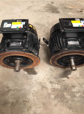 两台11kw格兰富立式多级水泵电机，AEUBKG020015（憨憨电子）