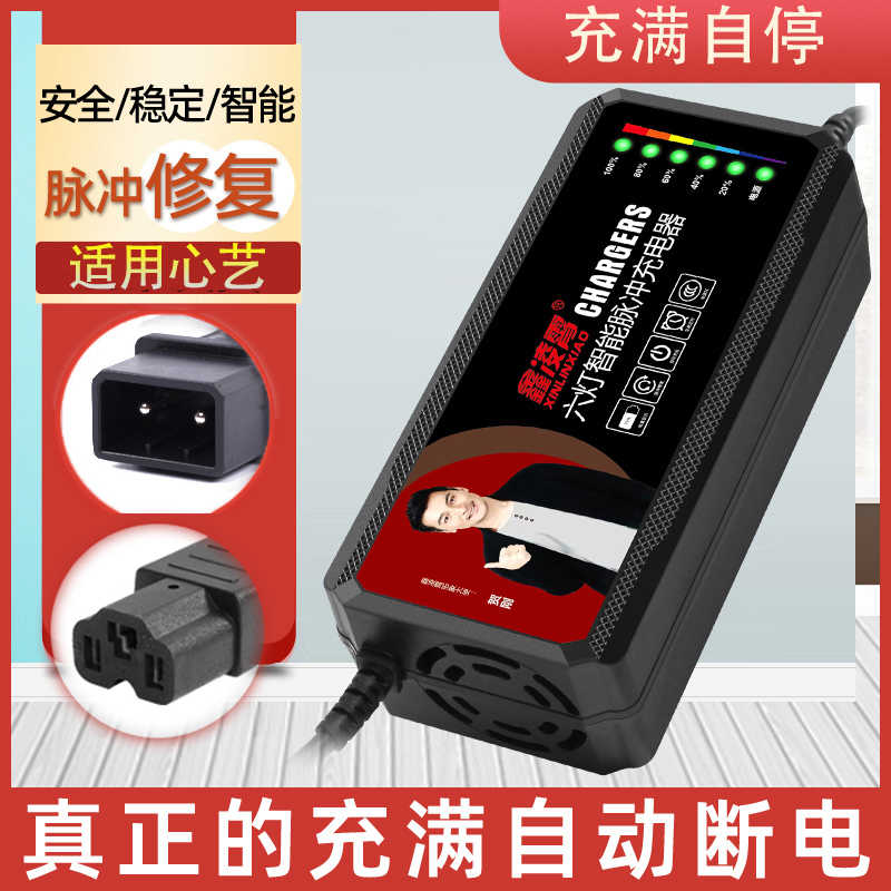 适用新国心艺可人电动车充电器48V20AH60V72V20AH凤凰两针充电