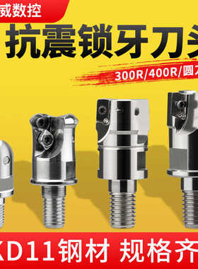 分体式BAP300RBAP400R锁牙式铣刀头1604数控抗震刀杆1135螺纹刀头