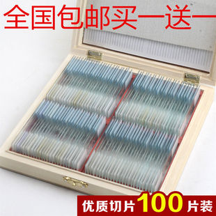 100片生物切片标本皖南牌显微镜标本实验玻片永久装片细胞载玻片