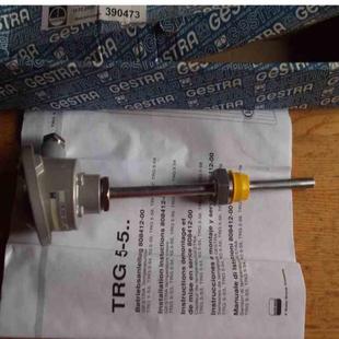 GESTRA 议价 TRG 1xPT100
