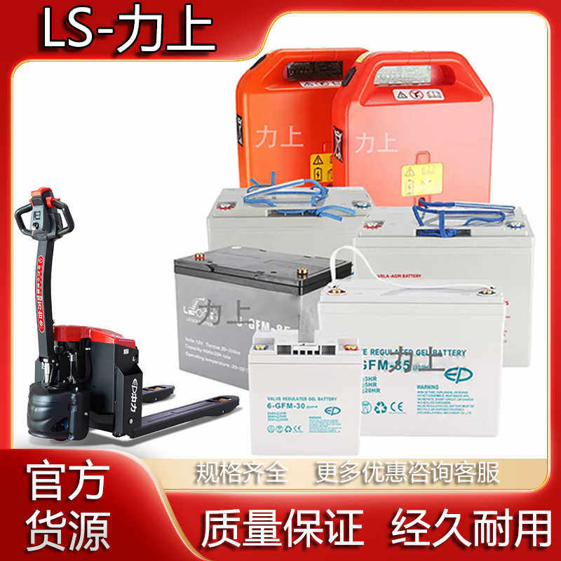 中力天能锂电铅酸免维护全电动叉车电瓶小金刚叉车电池原厂12V65A