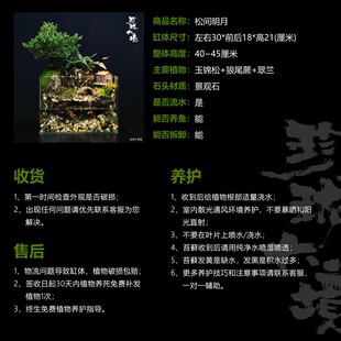 [松间明月]玉锦松创意绿植微景观国风流水摆件发光鱼缸30*18*21cm