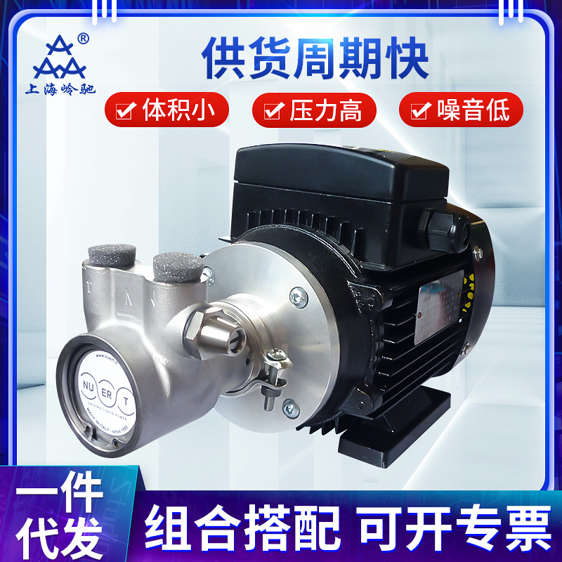 供应PR4ASXV-250W380V三相高压汽油柴油煤油泵意大利NUERT纳特