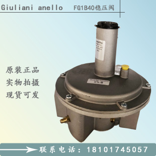 意大利朱利安尼FG1B40燃烧器稳压阀FGDR40稳压阀