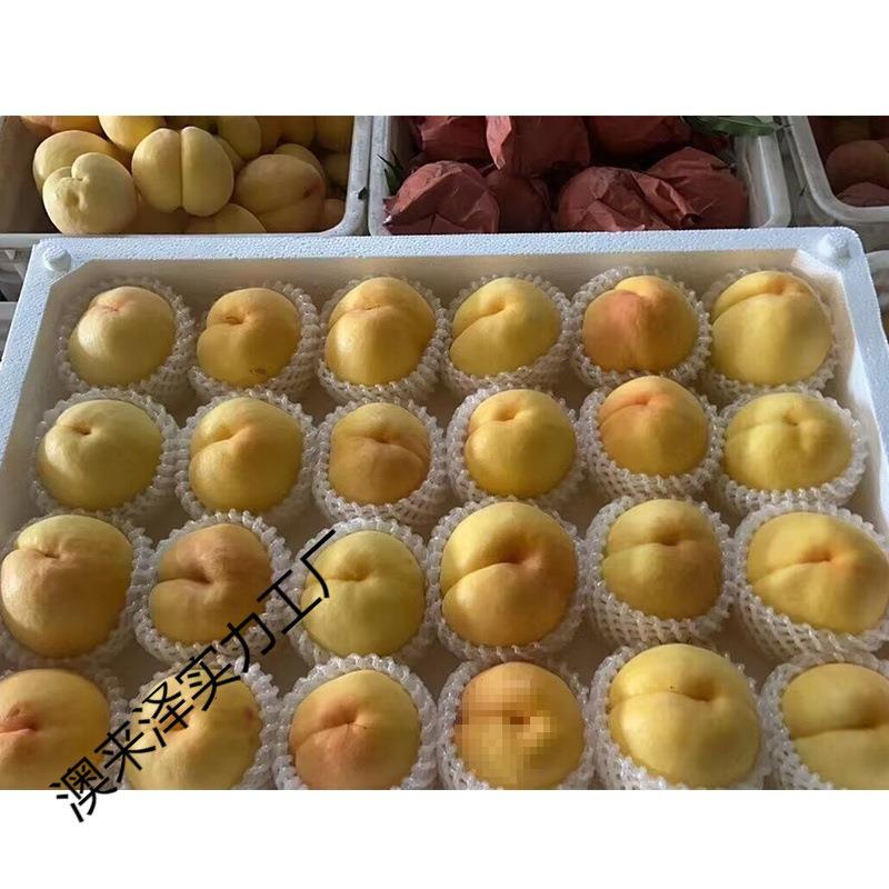 葡萄枇泡杷沫托莓箱黄桃泡盘沫箱泡托盘mHF4k6eR沫水蜜桃芒果水果