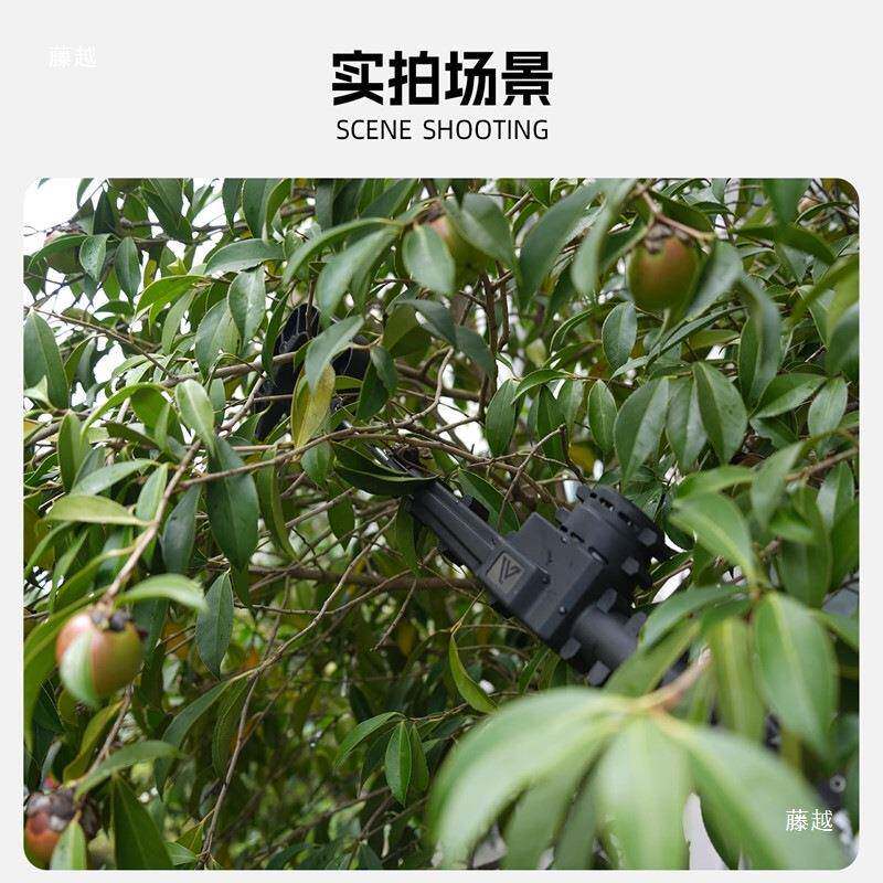 板栗采摘摘伸缩杆高空水果电动打果机枣山茱萸核桃摇树桂花楂