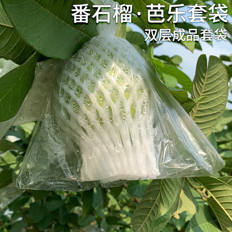 番石榴芭乐防虫防鸟防果蝇套袋