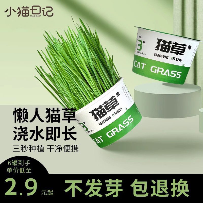 小猫日记懒人泡面猫草mini创新滤水设计水培杯化毛草自种猫草盆栽