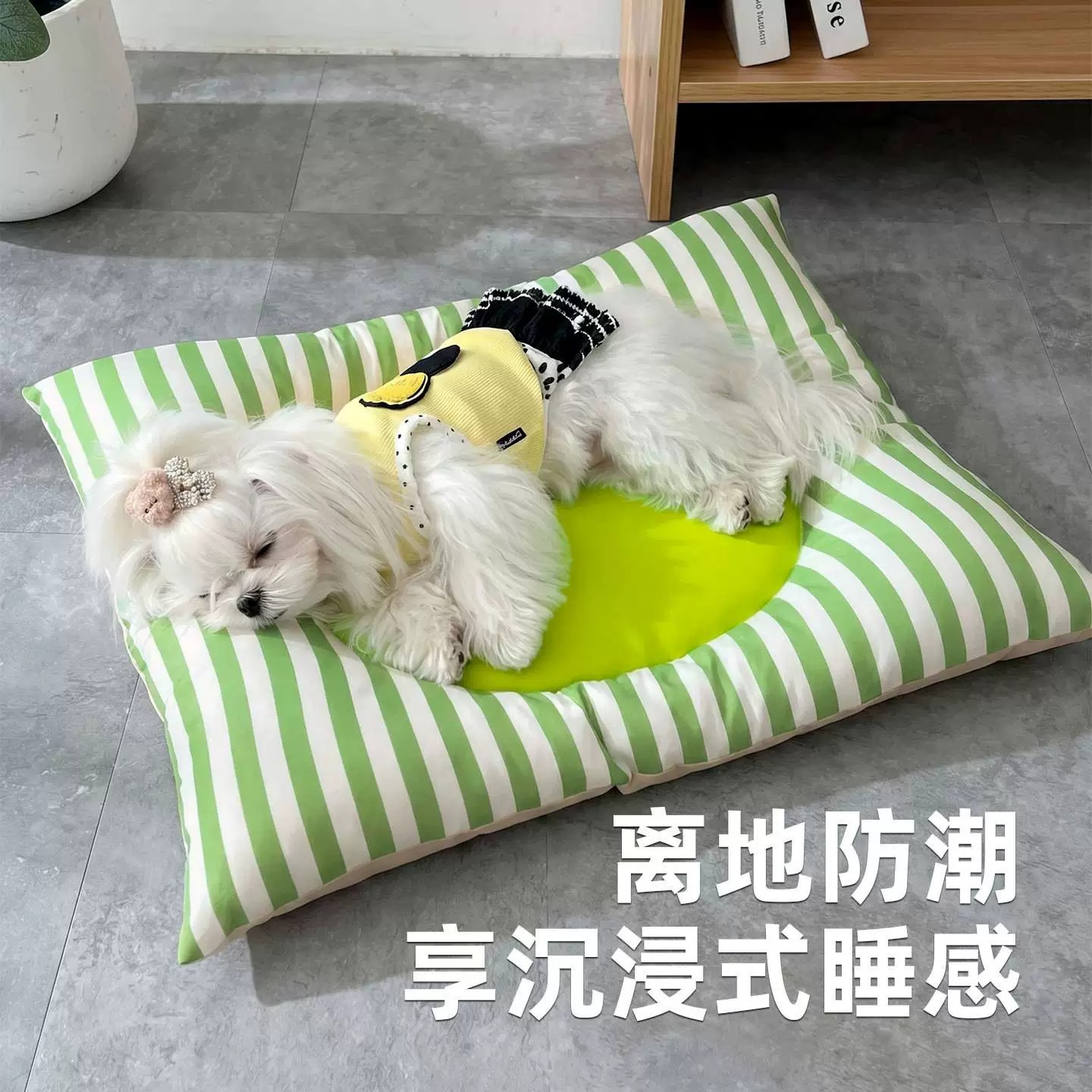 猫狗垫子四季通用防水宠物趴趴垫图片