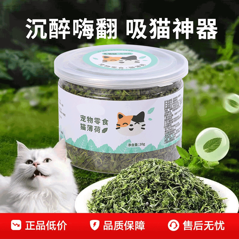 猫薄荷20g助排毛球增进食欲