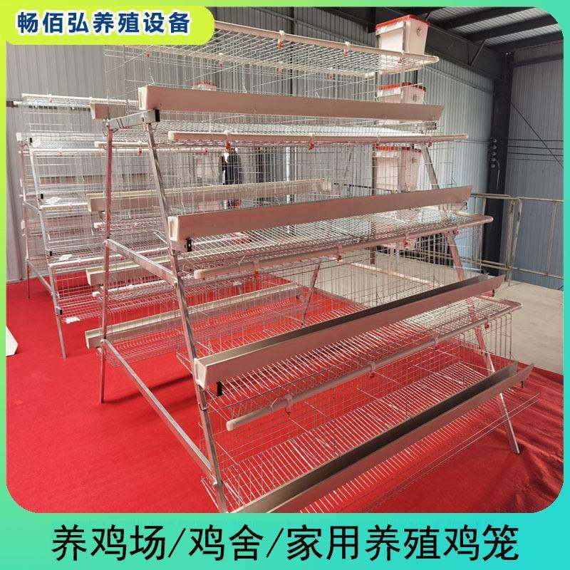四层四门阶梯蛋鸡笼阶梯式养殖蛋鸡窝A型蛋鸡笼热镀丝,畜牧/养殖物资,特种养殖设备,淘宝优惠券,粉丝福利购,淘宝优惠卷