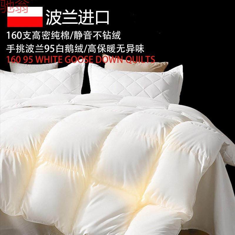 Q3Y波兰进口羽绒被95白鹅绒高端被子春秋被芯恒温加厚双人静音冬