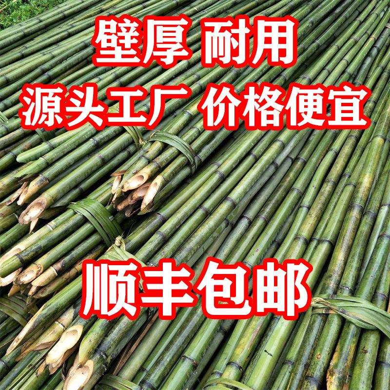 小竹竿菜园搭架细竹子豆角番茄黄瓜葡萄蔬菜爬藤架篱笆栅栏彩旗竿