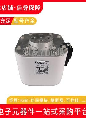 170M7802170M7803170M7804170M7217170M7597170M7676熔断器