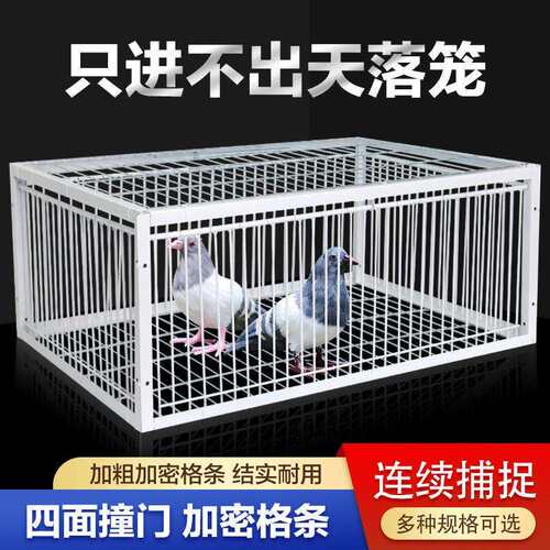 鸽子笼只进不出天落笼加密收鸽笼活络门撞门笼户外自动收鸽子神器