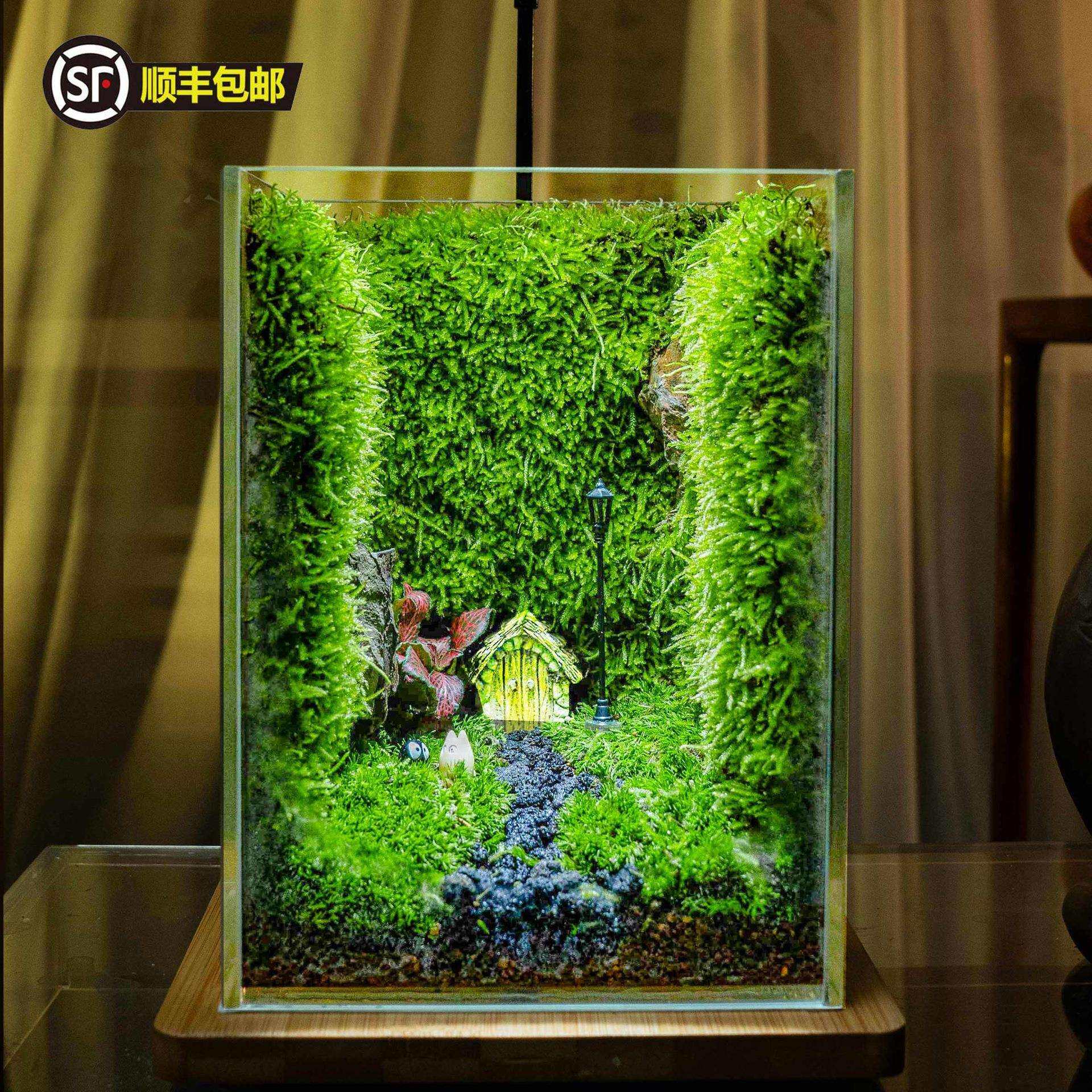 桌面艺术苔藓微景观生态瓶懒人养护闷养盒创意真绿植盆栽摆件