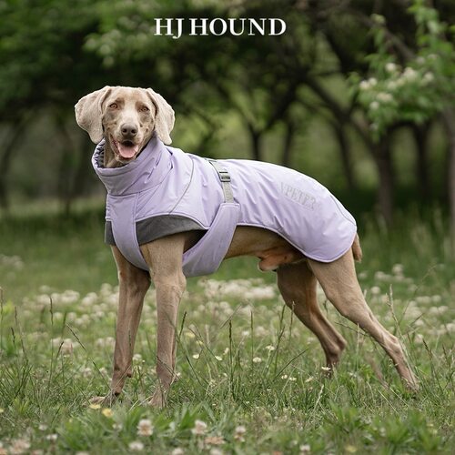 HJHOUND秋冬狗狗高领反光棉衣