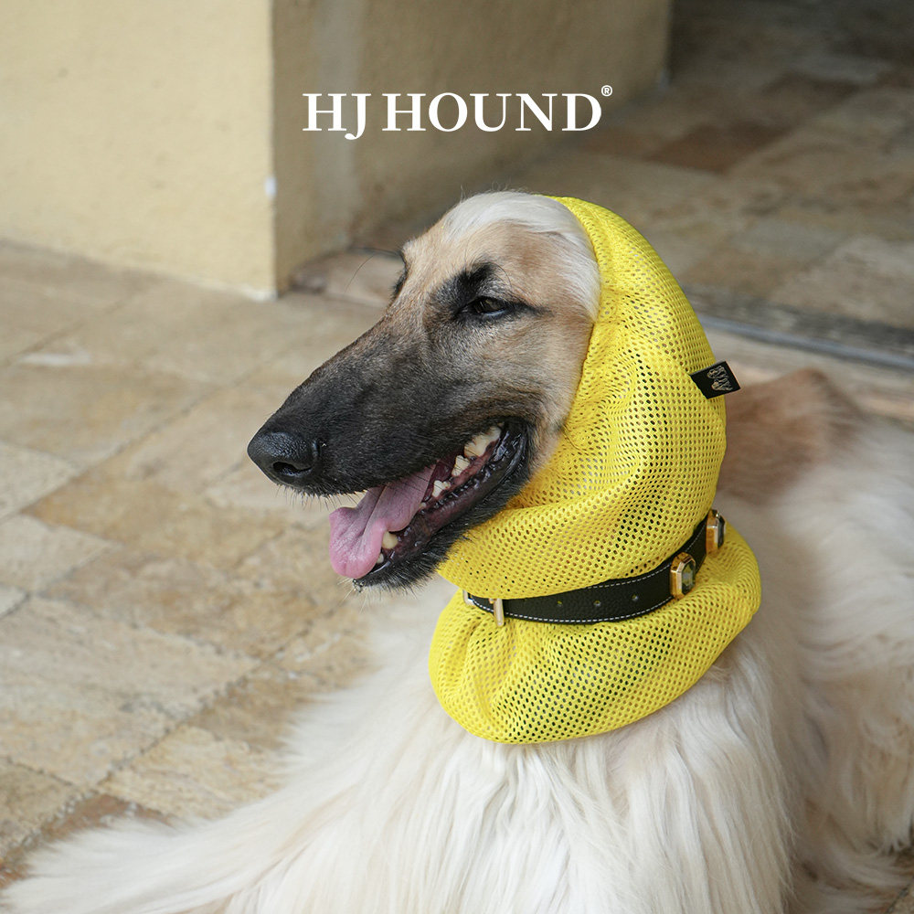 HJHOUND狗狗头巾大耳狗网面弹力头套阿富汗猎犬史宾格可卡腊肠犬