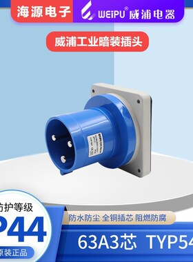 WEIP威浦TYP541 63A3芯 航空插头 暗装插头 220V 2P+E IP44