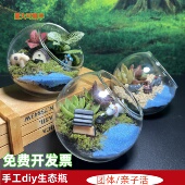 动物世界亲子活动创意礼物多肉苔藓微景观生态瓶diy绿植盆栽大瓶