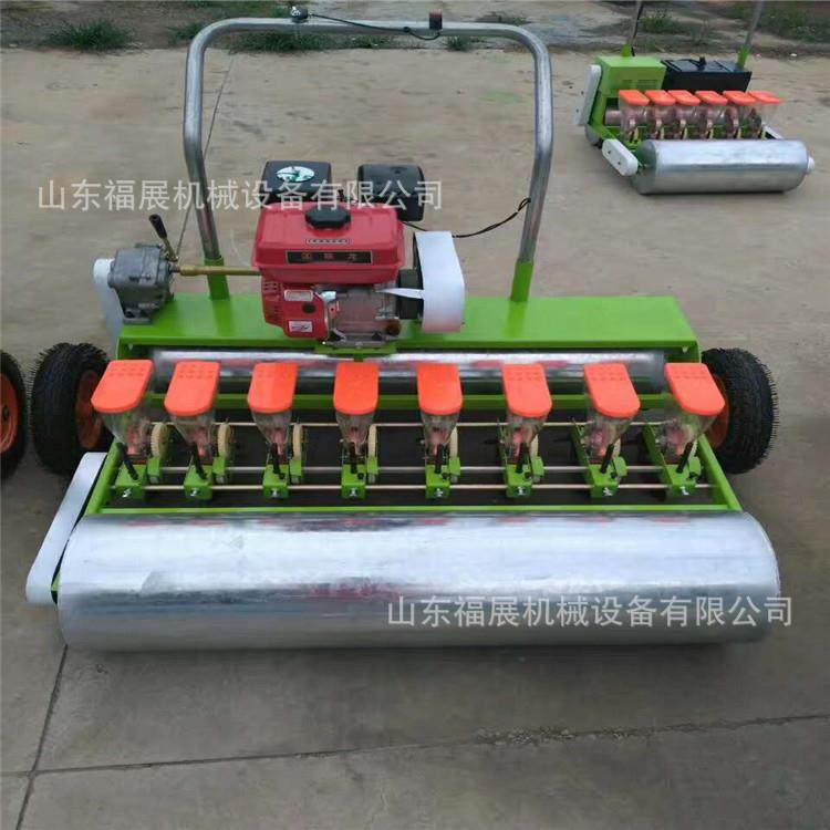 播种RKW机农用精播新款小型手谷自走推自动芹子多功能蔬菜油菜香
