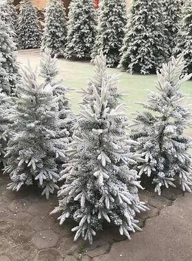 圣诞摄节喷雪植绒圣诞1树.2/1KGG.5/1.8/2.场1米雪景拍装饰雪树雪